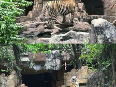 -长鹿旅游休博园