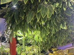 -城墙拐拐火锅(三峡广场黑金冠店)