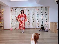 -柴迷FANS CLUB·柴犬狗咖·猫咖