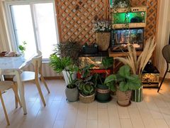 -Rabbit Cafe私房西餐甜点咖啡(栖霞路店)