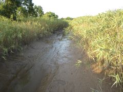 场地-东方绿舟宾馆·停车场