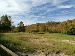 -塞罕坝国家级自然保护区