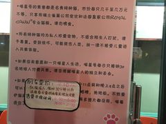 -猫咪博物馆(顶澳仔猫街店)