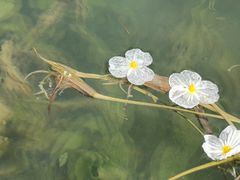 -丽江泸沽湖景区