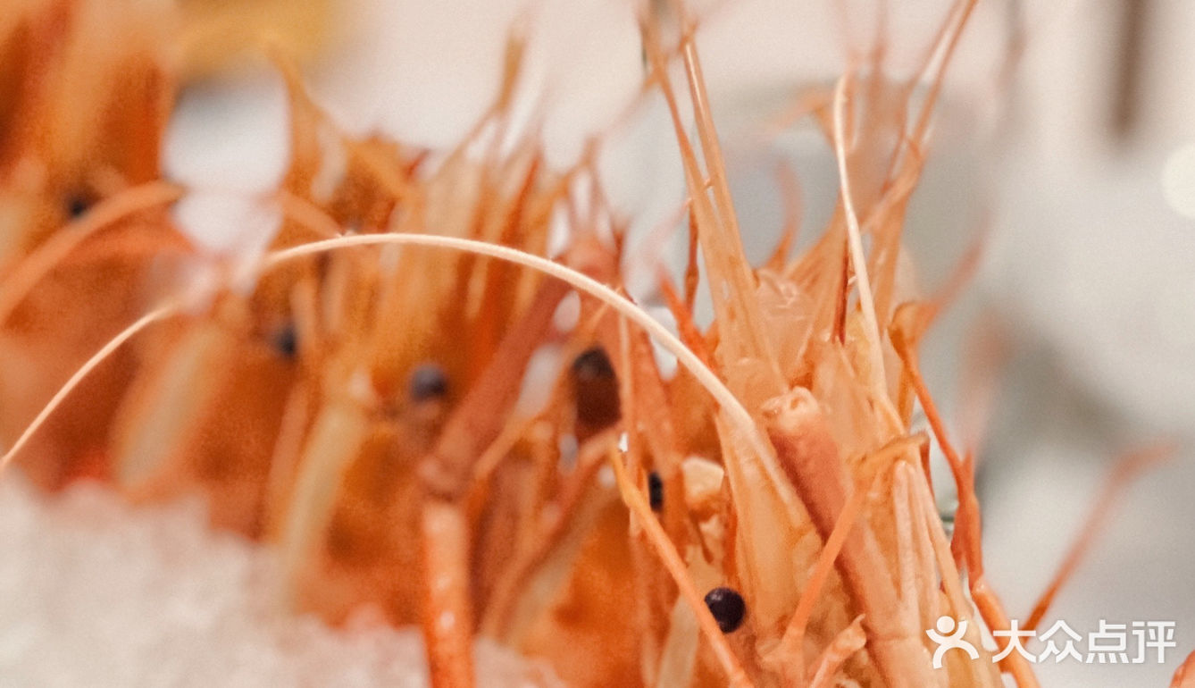 💖本帮菜✅必吃榜🌸到底值不值得来⁉️