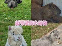 -南戴河国际娱乐中心