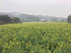 -红山村