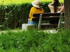 -洨河生态公园