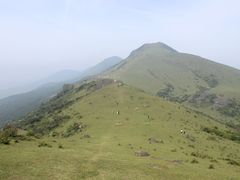 -大姆山草场