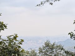-灵顺寺