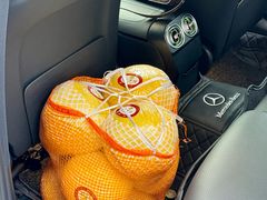 -双福水果批发市场