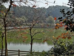 景点-广州市帽峰山景区