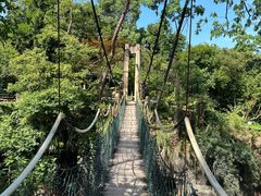 -千岛湖东南湖区
