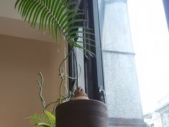 -知亘茶食