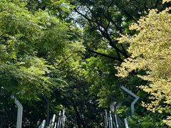 -佛山华盖山公园