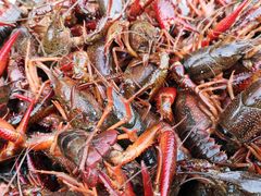 -王红军龙虾(新民路店)