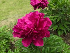 -合肥三国新城遗址公园