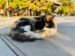 -北京鲁迅博物馆(北京新文化运动纪念馆鲁博馆区)