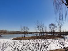 -东郊湿地公园