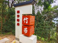 -黄埔油麻山森林公园