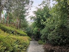 -腾冲洞山温泉村