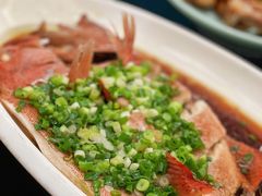 广式蒸东星斑-云天楼国鼎喜宴中心(国鼎店)