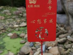-无锡梅园公园