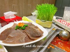 -海底捞火锅(步步高新天地店)