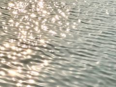 -先锋海鲜市场