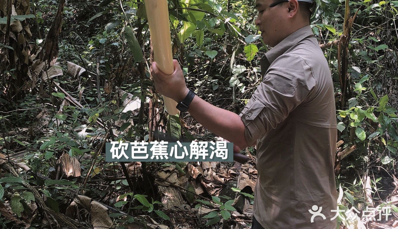 西双版纳小众玩法｜穿越到雨林里吃大餐🍃