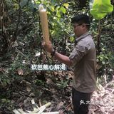 西双版纳小众玩法｜穿越到雨林里吃大餐🍃
