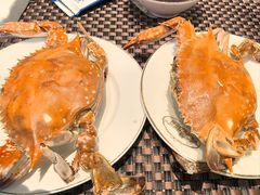 -棕榈岛海鲜自助餐厅(虹桥迎宾馆店)