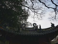 -普陀山慧济禅寺