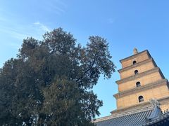-大慈恩寺(大雁塔)