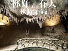 -南山植物园