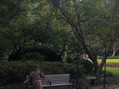 -中山公园