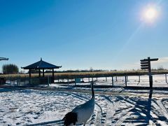 -黑龙江扎龙生态旅游区