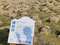 -芦芽山旅游度假区
