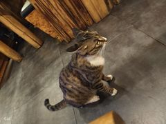 -小木屋米酒店·韩国料理(深圳总店)