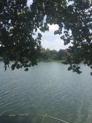 -真知味酒店·宴会厅(月牙湖店)