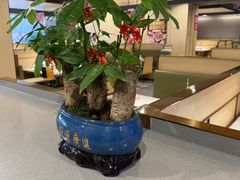 -海底捞火锅(百利广场店)