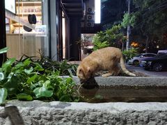 -福瑞记老孙头biangbiang面(新生路店)