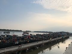 -大湾区中央湿地公园-十九涌