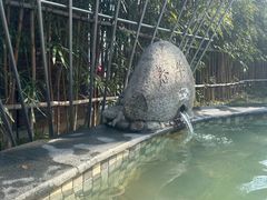 -三江森林温泉度假区