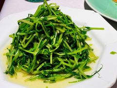 酒香豆苗-丰和日丽(瑞虹天地月亮湾店)