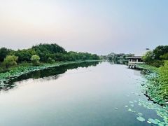 -上海怡沁园度假酒店