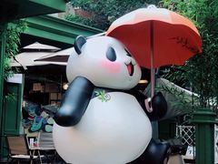 -轩客会(熊猫书店)