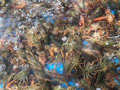 -盒马鲜生(皇庭广场店)
