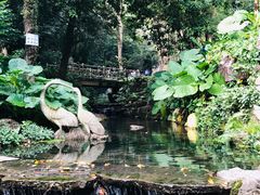 -广州市白云山风景名胜区