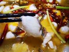 -青花椒花椒鱼(合生汇店)